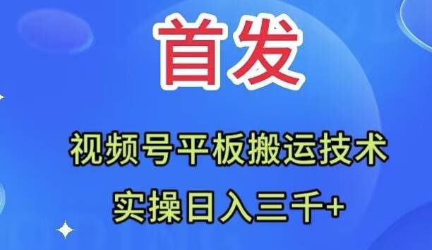 全网首发：视频号平板搬运技术，实操日入三千＋-有量联盟