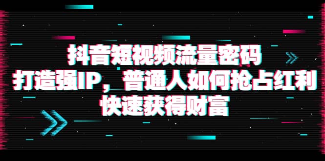 抖音短视频流量密码：打造强IP，普通人如何抢占红利，快速获得财富-有量联盟