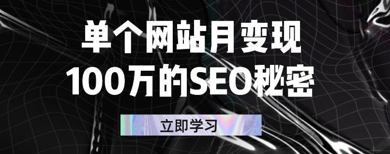 单个网站月变现100万的SEO秘密，百分百做出赚钱站点-有量联盟