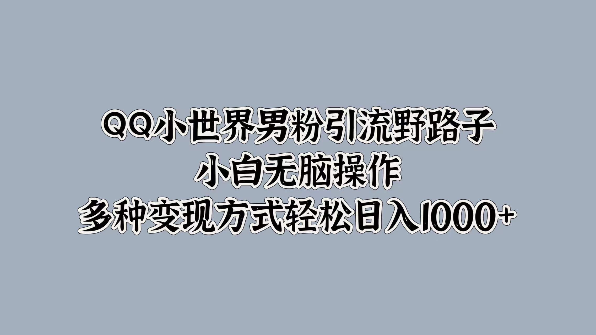 QQ小世界男粉引流野路子，小白无脑操作，多种变现方式轻松日入1000+-有量联盟