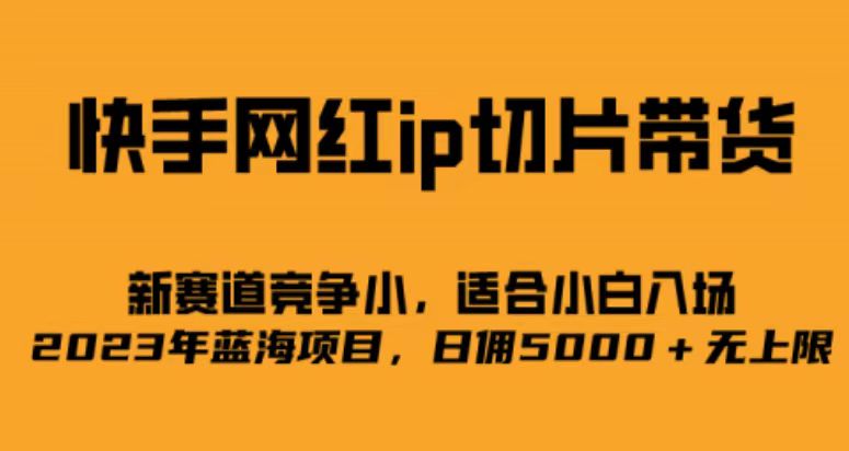 快手网红ip切片新赛道，竞争小事，适合小白 2023蓝海项目-有量联盟