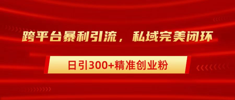 跨平台暴力引流，私域完美闭环，日引300+精准创业粉-有量联盟