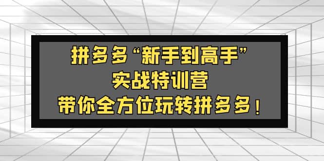 拼多多“新手到高手”实战特训营：带你全方位玩转拼多多-有量联盟