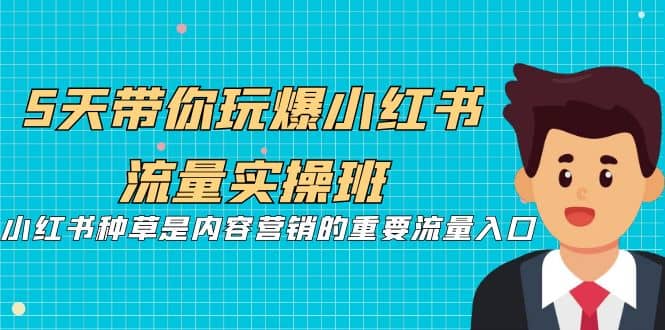 5天带你玩爆小红书流量实操班，小红书种草是内容营销的重要流量入口-有量联盟