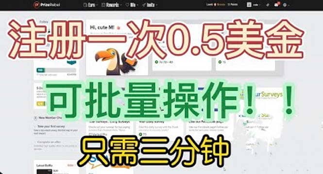 国外项目注册一次0.5美金 只需三分钟无脑操作 可批量放大 小白工作室福利-有量联盟