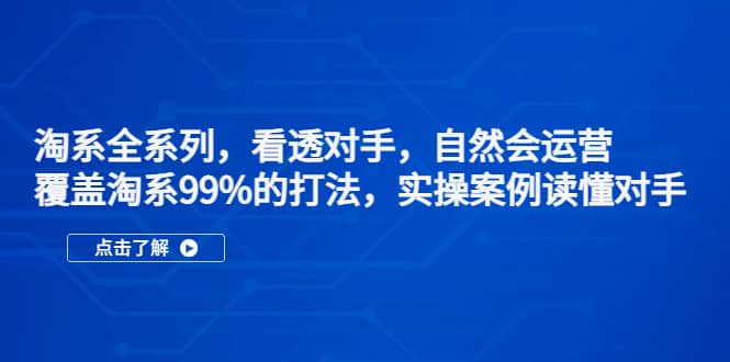 淘系全系列，看透对手，自然会运营，覆盖淘系99%·打法，实操案例读懂对手-有量联盟