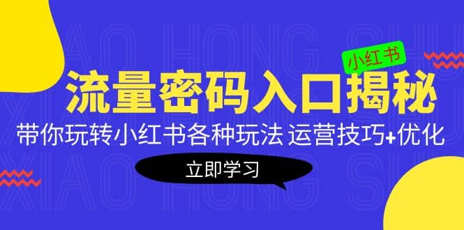 小红书流量密码入口揭秘：带你玩转小红书各种玩法 运营技巧+优化-有量联盟