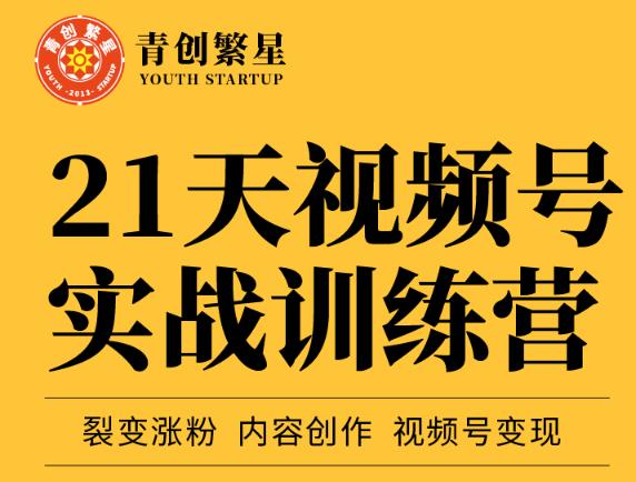 张萌21天视频号实战训练营，裂变涨粉、内容创作、视频号变现 价值298元-有量联盟