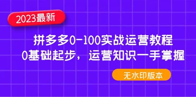 2023拼多多0-100实战运营教程，0基础起步，运营知识一手掌握（无水印）-有量联盟