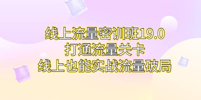 线上流量密训班19.0，打通流量关卡，线上也能实战流量破局-有量联盟