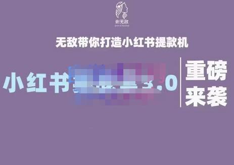 谢无敌·小红书实战营3.0，无敌带你打造小红书提款机 价值7999元-有量联盟