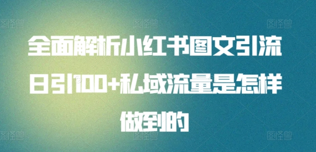 日引流100私域流量小红书图文是怎样做到的全面解析-有量联盟