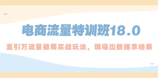 电商流量特训班18.0，直引万流量破局实操玩法，现场出数据拿结果-有量联盟