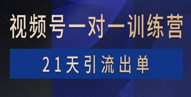 视频号训练营：带货，涨粉，直播，游戏，四大变现新方向，21天引流出单-有量联盟