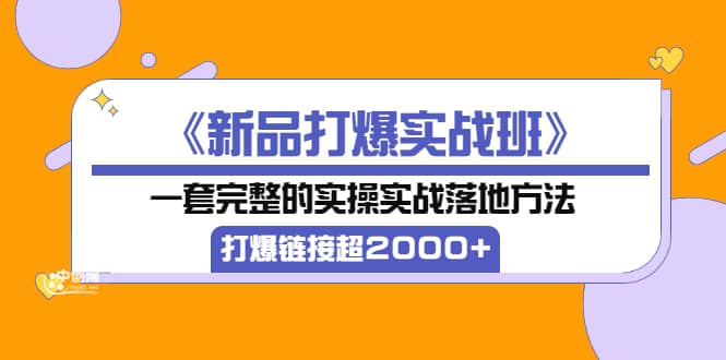 《新品打爆实战班》一套完整的实操实战落地方法，打爆链接超2000+（38节课)-有量联盟