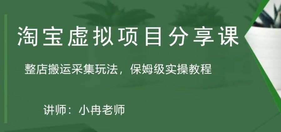 淘宝虚拟整店搬运采集玩法分享课：整店搬运采集玩法，保姆级实操教程-有量联盟