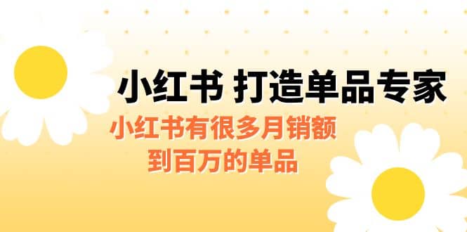 某公众号付费文章《小红书 打造单品专家》小红书有很多月销额到百万的单品-有量联盟