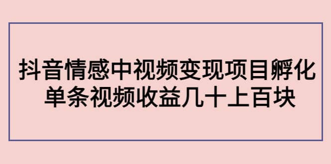 抖音情感中视频变现项目孵化-有量联盟