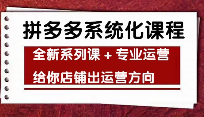 车神陪跑，拼多多系统化课程，全新系列课+专业运营给你店铺出运营方向-有量联盟