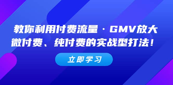 教你利用付费流量·GMV放大，微付费、纯付费的实战型打法-有量联盟