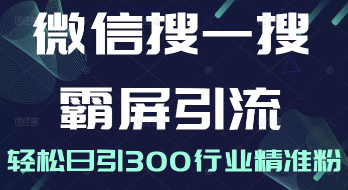 微信搜一搜霸屏引流课，打造被动精准引流系统，轻松日引300行业精准粉【无水印】-有量联盟