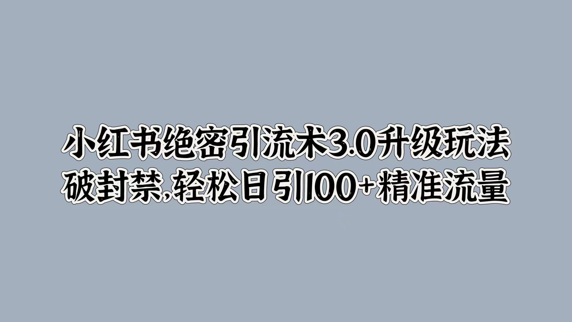 小红书绝密引流术3.0升级玩法，破封禁，轻松日引100+精准流量-有量联盟