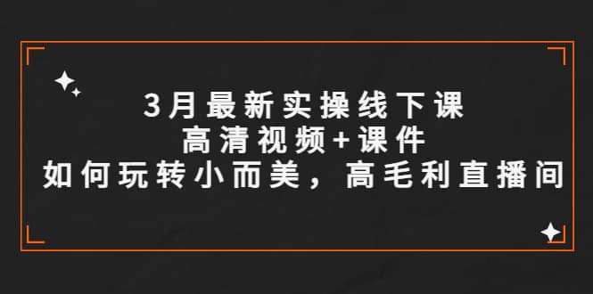 3月最新实操线下课高清视频+课件，如何玩转小而美，高毛利直播间-有量联盟