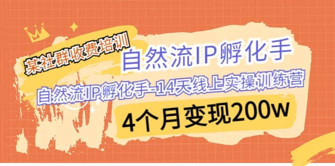 某社群收费培训：自然流IP 孵化手-14天线上实操训练营 4个月变现200w-有量联盟