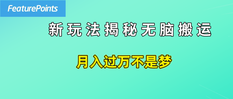 简单操作，每天50美元收入，搬运就是赚钱的秘诀！-有量联盟