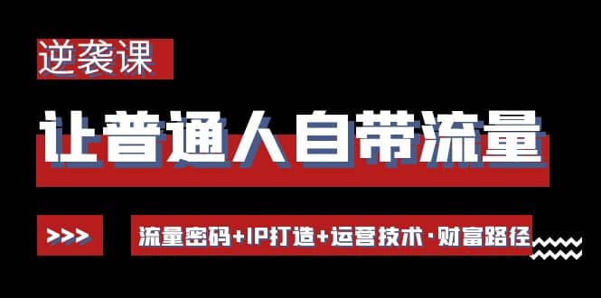 让普通人自带流量的逆袭课：流量密码+IP打造+运营技术·财富路径-有量联盟