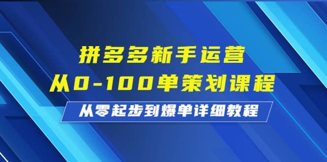 拼多多新手运营从0-100单策划课程，从零起步到爆单详细教程-有量联盟