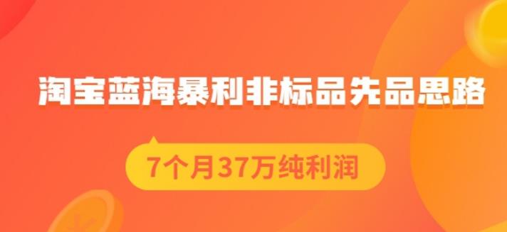 盗坤淘宝蓝海暴利非标品先品思路，7个月37万纯利润，压箱干货分享！【付费文章】-有量联盟