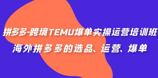 拼多多-跨境TEMU爆单实操运营培训班，海外拼多多的选品、运营、爆单-有量联盟