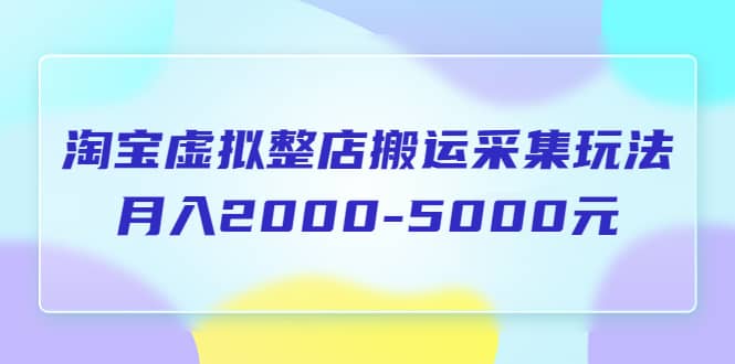 淘宝虚拟整店搬运采集玩法分享课：月入2000-5000元（5节课）-有量联盟