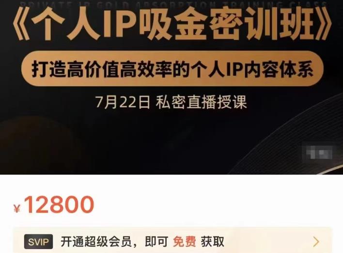 个人IP吸金密训班，打造高价值高效率的个人IP内容体系（价值12800元）-有量联盟