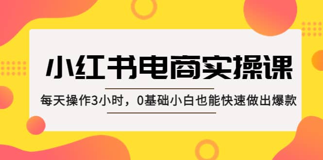 小红书·电商实操课：每天操作3小时，0基础小白也能快速做出爆款-有量联盟