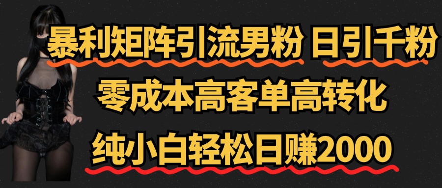 暴利矩阵引流男粉（日引千粉），零成本高客单高转化，纯小白轻松日赚2000+-有量联盟