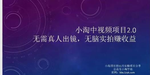 小淘项目组网赚永久会员，绝对是具有实操价值的，适合有项目做需要流程【持续更新】-有量联盟