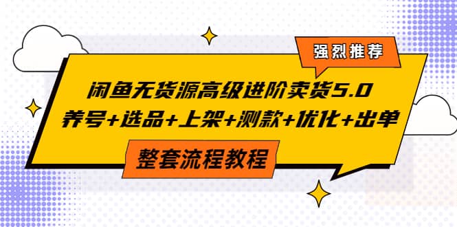 闲鱼无货源高级进阶卖货5.0，养号+选品+上架+测款+优化+出单整套流程教程-有量联盟