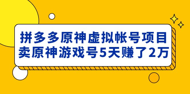 外面卖2980的拼多多原神虚拟帐号项目-有量联盟