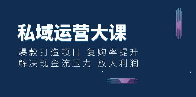 私域运营大课：爆款打造项目 复购率提升 解决现金流压力 放大利润-有量联盟