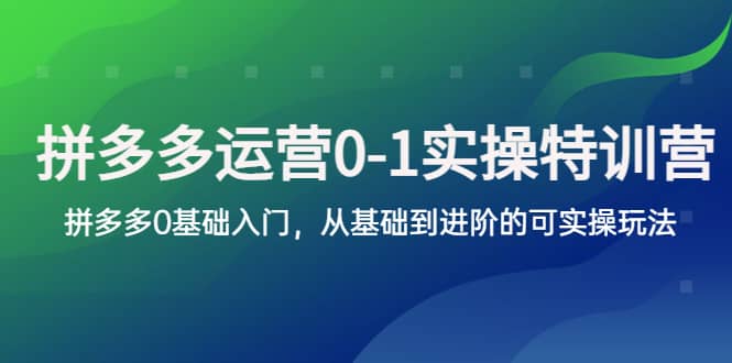 拼多多-运营0-1实操训练营，拼多多0基础入门，从基础到进阶的可实操玩法-有量联盟