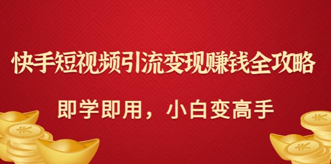 快手短视频引流变现赚钱全攻略：即学即用，小白变高手（价值980元）-有量联盟