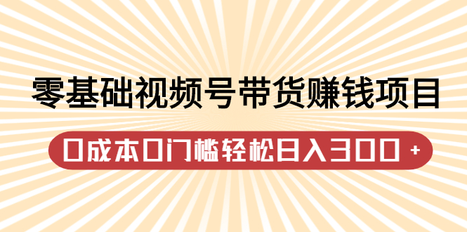 零基础视频号带货赚钱项目，0成本0门槛轻松日入300+【视频教程】-有量联盟