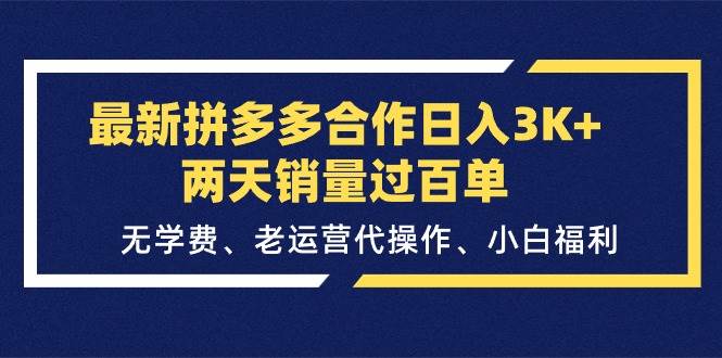 最新拼多多合作日入3K+两天销量过百单，无学费、老运营代操作、小白福利-有量联盟