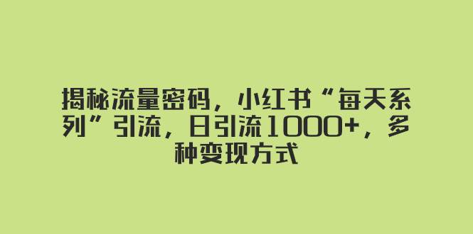 揭秘流量密码，小红书“每天系列”引流，日引流1000+，多种变现方式-有量联盟