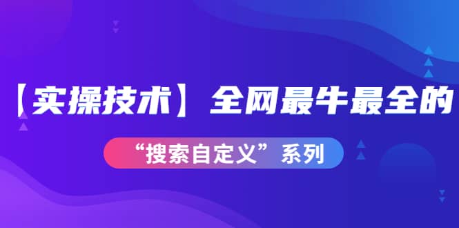 【实操技术】全网最牛最全的“搜索自定义”系列！价值698元-有量联盟