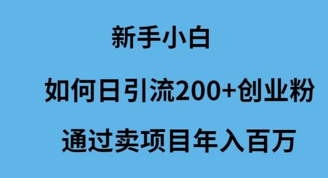 新手小白如何日引流200+创业粉通过卖项目年入百万-有量联盟