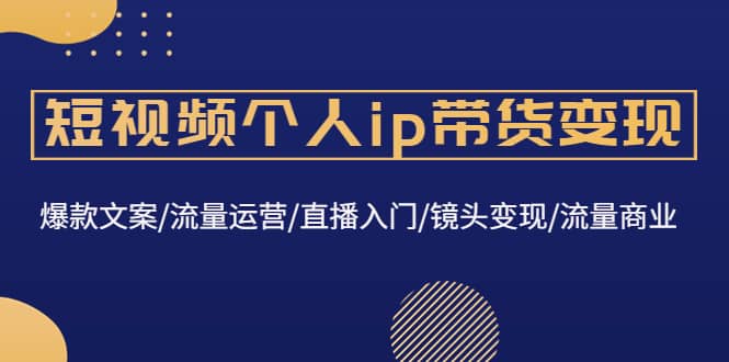 短视频个人ip带货变现：爆款文案/流量运营/直播入门/镜头变现/流量商业-有量联盟