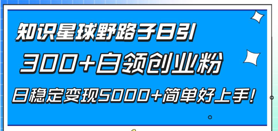 知识星球野路子日引300+白领创业粉，日稳定变现5000+简单好上手！-有量联盟